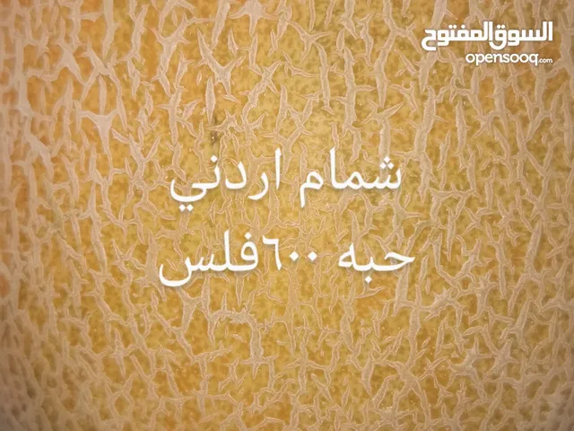 شركه المروج الخضراء للخضار والفاكه