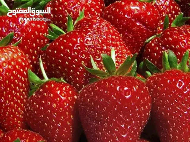 Quality  strawberries