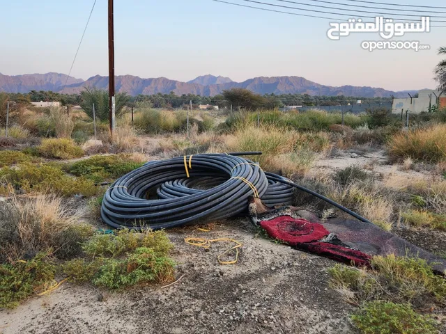 بيبات رول جديدة