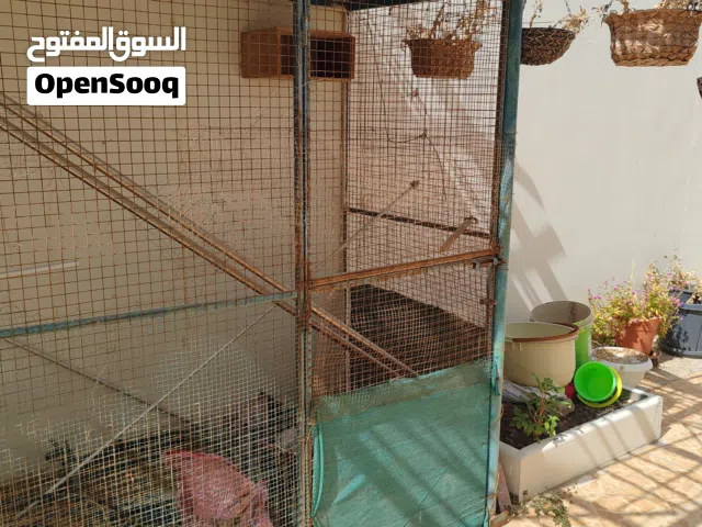 قفص كبير للبيع