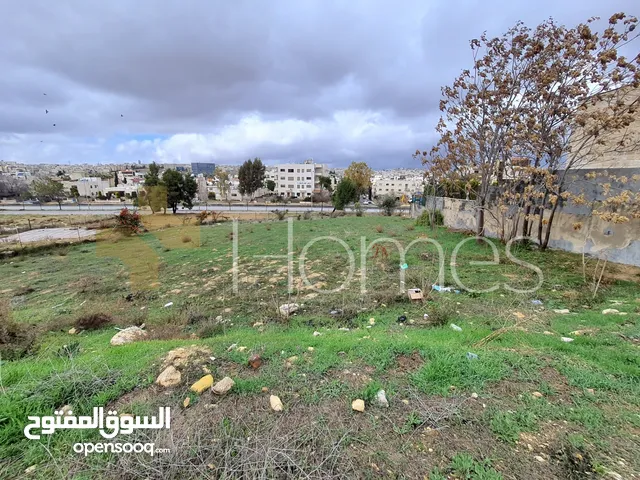 Residential Land for Sale in Amman Marj El Hamam