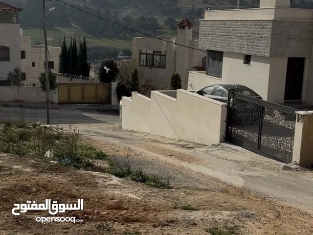 Residential Land for Sale in Amman Al-Amir Hamzah