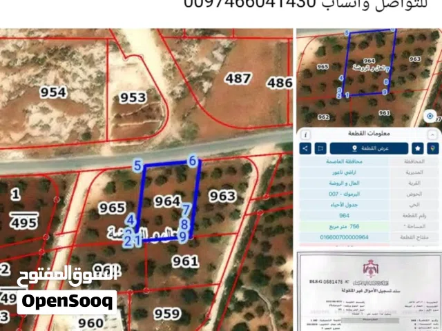 Residential Land for Sale in Amman Naour