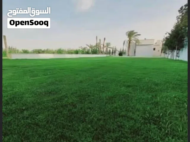 Residential Land for Sale in Tripoli Wadi Al-Rabi