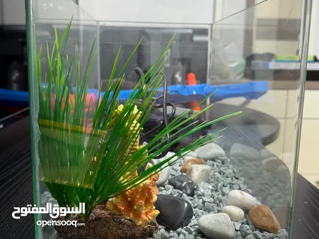 حوض سمك جديد جدا