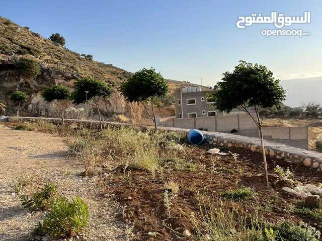 1 Bedroom Farms for Sale in Salt Al Maghareeb