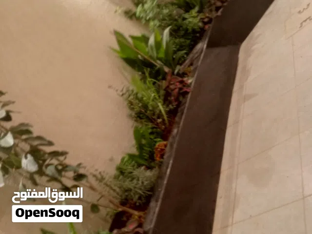 صيانه الحدائق