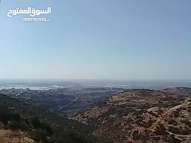 ارض تصلح لبناء شاليه للبيع في منطقة بلعا