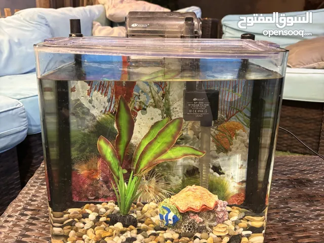 للبيع حوض سمك مع جميع المستلزمات