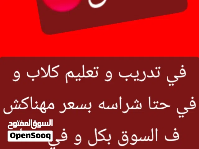 لتدريب الكلاب و في حتا تتعيطم