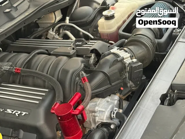 جالنجر 2022 للبيع