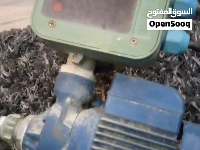 للبيع 1 حصان