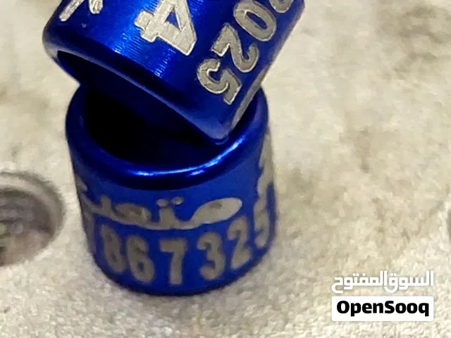 حجول لجميع انواع الطيور