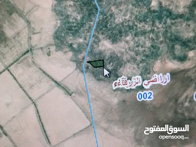 Farm Land for Sale in Zarqa Other