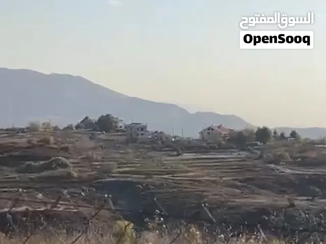 عقارات لقطة في الزعرور