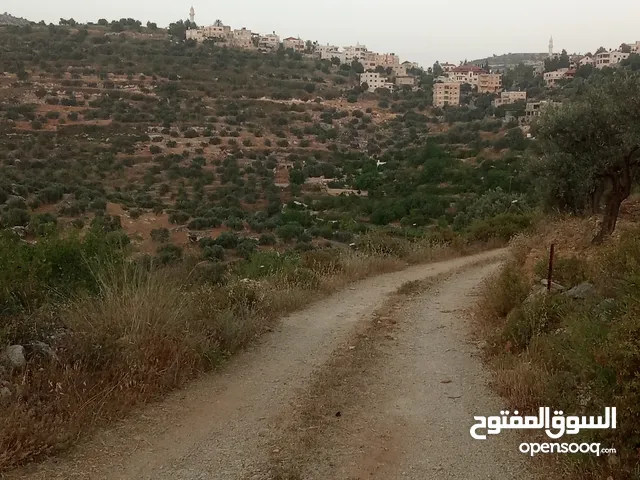 Residential Land for Sale in Ramallah and Al-Bireh Ajul