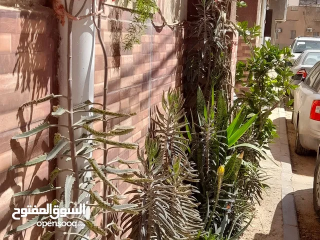 132 m2 4 Bedrooms Townhouse for Sale in Tripoli Ghut Shaal