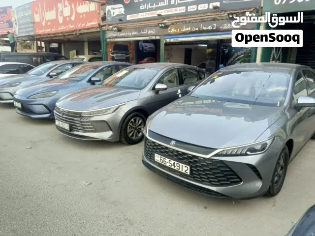 2025 بي واي دي كين
