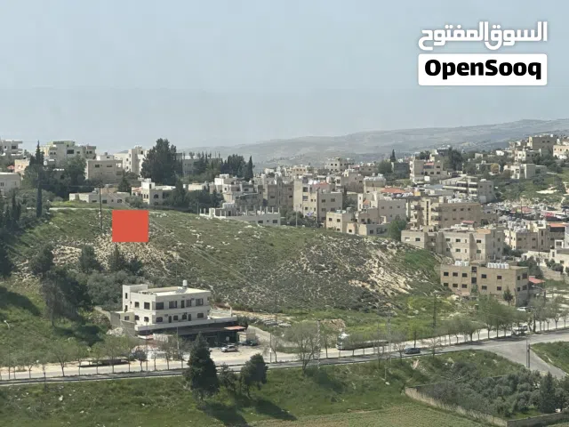 Residential Land for Sale in Amman Naour