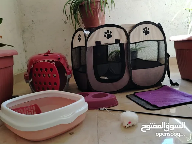 معدات كامله لتربية قطة