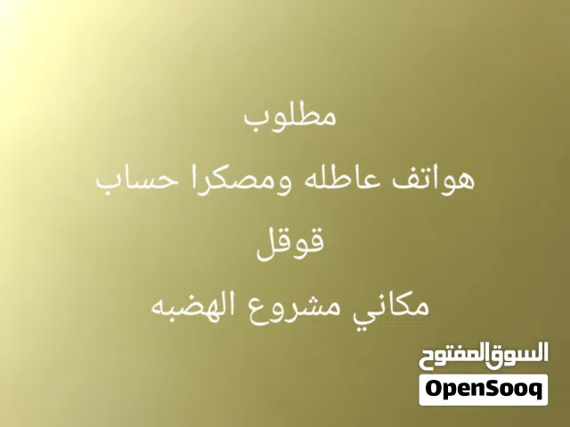 Others Not Defined Other in Tripoli