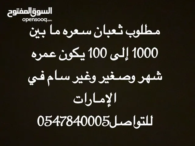 ثعبان غير سام