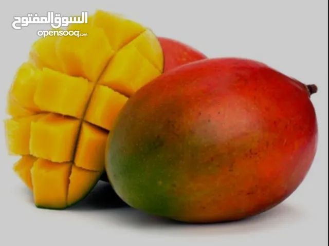 مشروع استيراد الفاكهة والخضروات