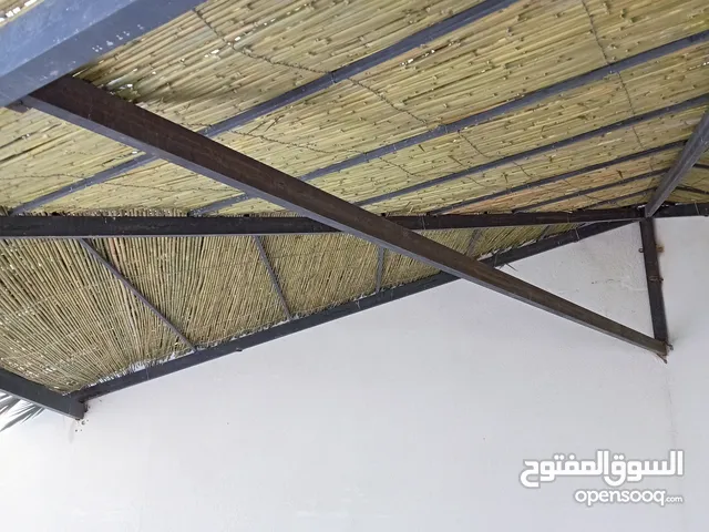 قصيب أخضر واصفر لتزيين الحدائق والمنتزهات والجلسات الخارجيه والاطلالات والمشاتل