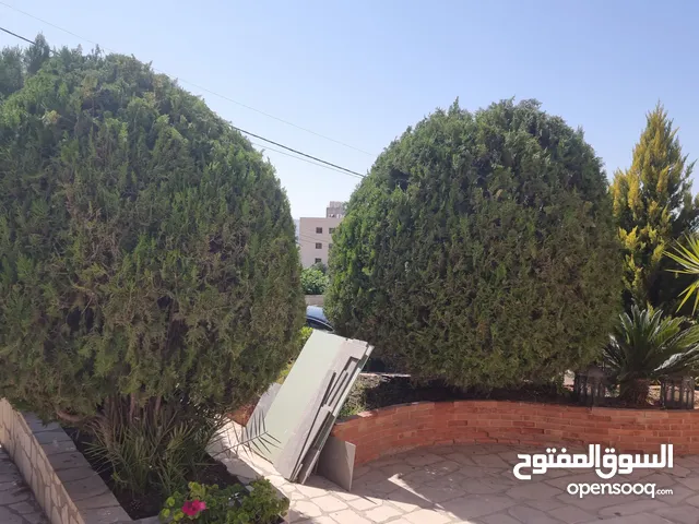 تنسيق حدائق – تقليم – تطعيم – إزالة وزراعة أشجار – مع تغطية شاملة