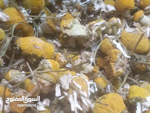 chamomile tea