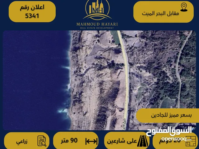 Farm Land for Sale in Jordan Valley Dead Sea
