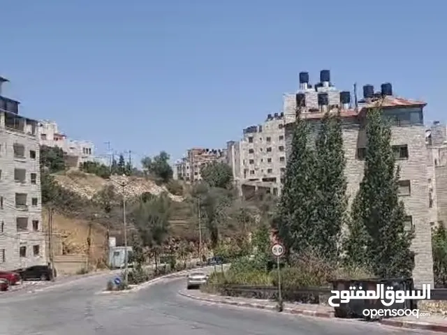 220 m2 1 Bedroom Apartments for Rent in Ramallah and Al-Bireh Al Tira