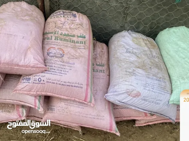 بيع سماد أغنام وبقر