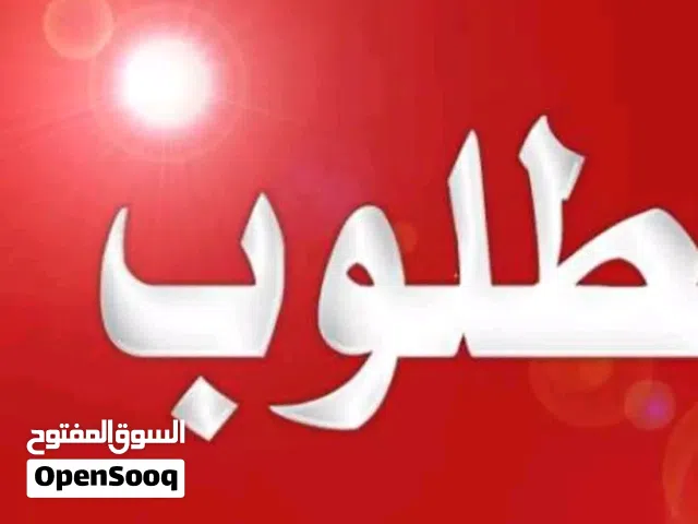 السلام عليكم مطلوب كتاكيت نعام او بيض مخصب