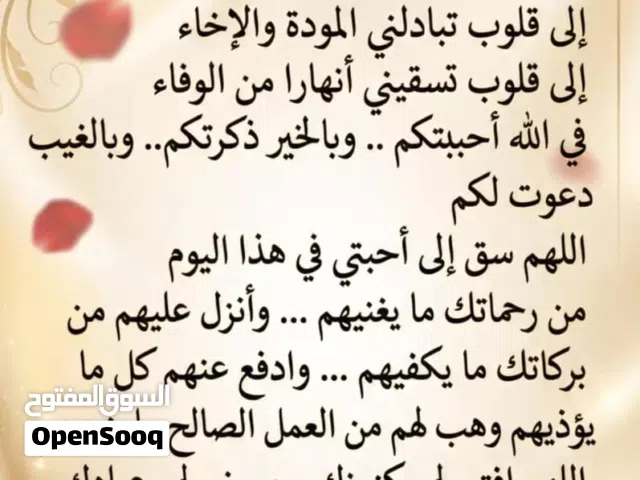عمارة في النوفليين بها 7شقق بجانب حلويات الملكة 40متر علي الرئيسي