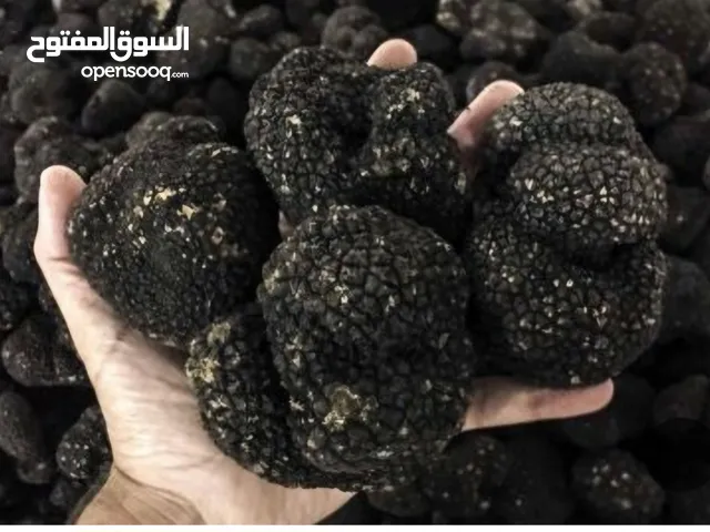فطر الكمأة، الذهب الأسود لإيران كيلوغرام واحد من فطر التصدير من الدرجة الأولى
