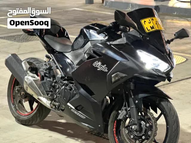 2019 Kawasaki Ninja 400