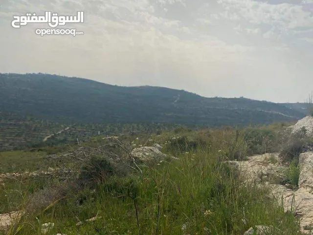 اطلالة مرتفعةطبيعية، على الشارع مباشرة، دير السودان، تصنيف الف -  900 متر و 1500 متر
