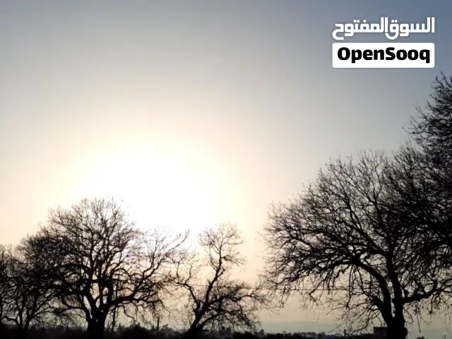 ارض للبيع في إربد قرب حديقه الاشرفيه ع مساحه 730 سعر دونم 50الف على شارعين