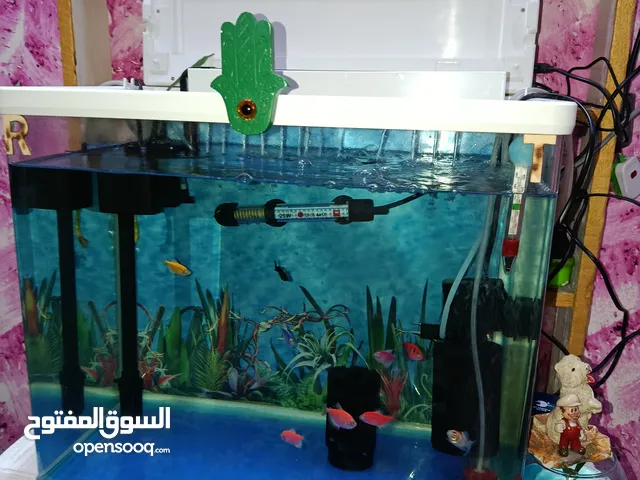 حوض اسماك للبيع مع الأسماك