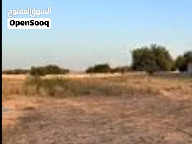 هكتار للايجار علي الطريق وادي الربيع