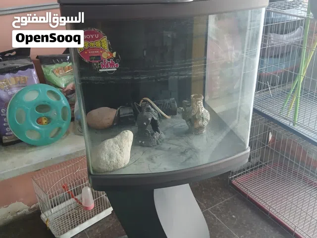 حوض سمك جديد