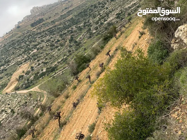 ارض مميزة للبيع منطقة ما بين حلحول و بيت امر