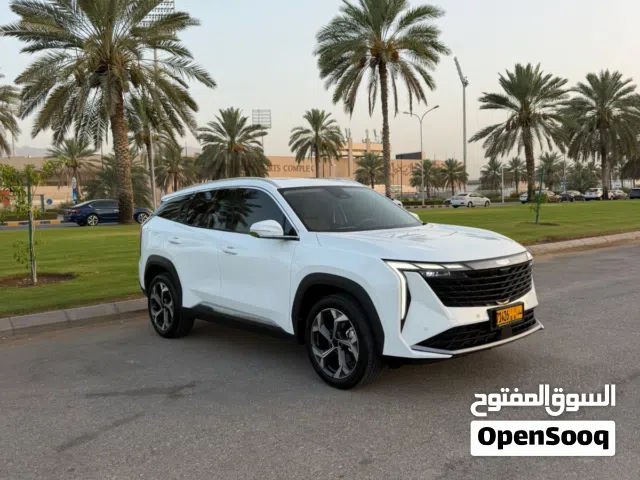 2025 جيلي ستار راي GK