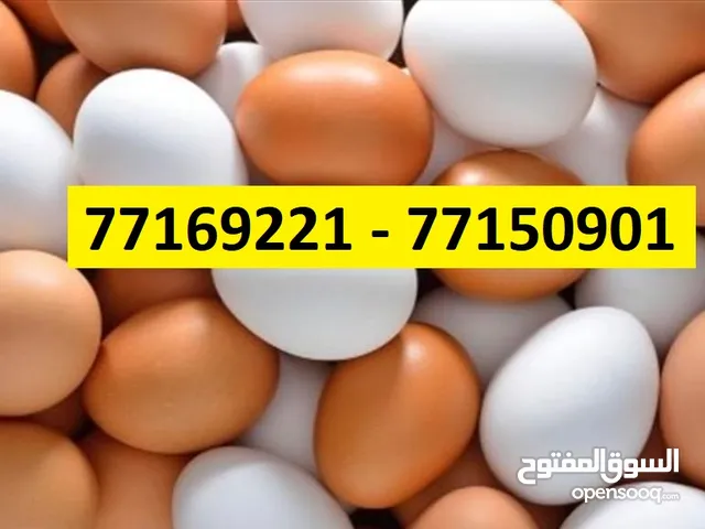 بيض إيراني(جودة عالية، اسعار منافسة!)  Irani Eggs(High Quality, Unbeatable Price!)