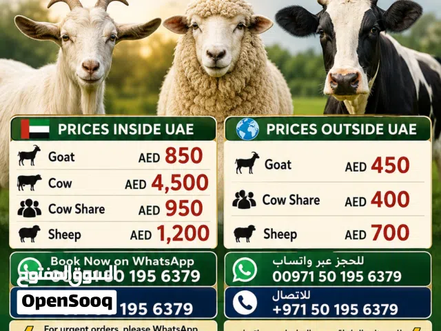 QURBANI 2026 BOOKING NOW OPEN  Sharia-compliant sacrifice with delivery & distribution
