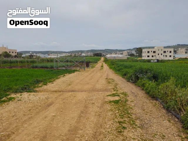 Mixed Use Land for Sale in Jenin Other