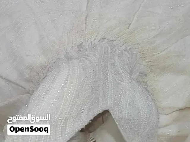 فيلو من تركيا
