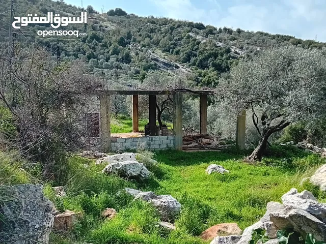 789 m Land with olive and ready base house