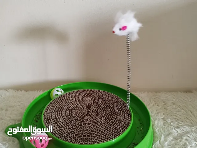 خداشة ولتربوكس وصندوق التنقل للبيع للقطط